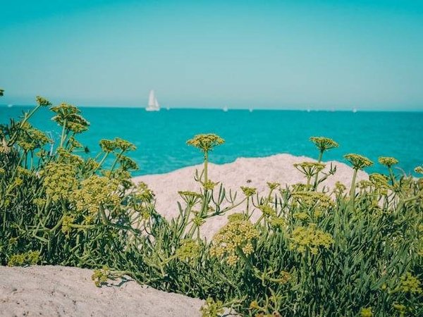 Comment Préparer son Déménagement sur l'île de Ré ?